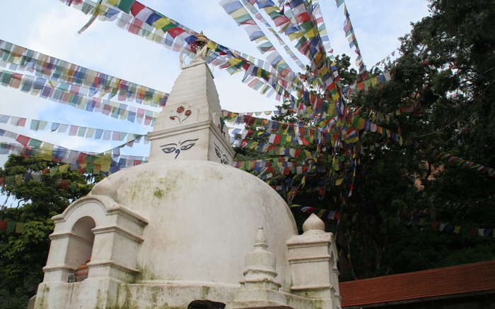 En el templo de los monos