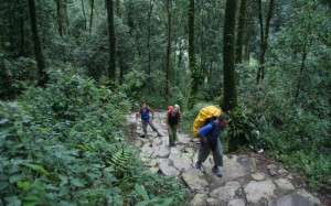 [Nepal] Pokhara, Trekking del campo base del Annapurna