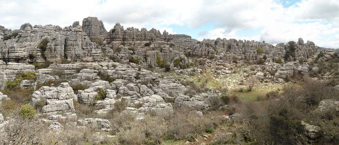 Una bonita panorámica